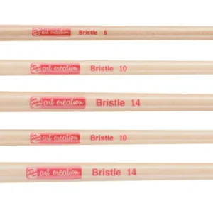 Royal Talens Hog Bristle Set van 5